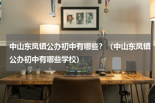 中山东凤镇公办初中有哪些？（中山东凤镇公办初中有哪些学校）