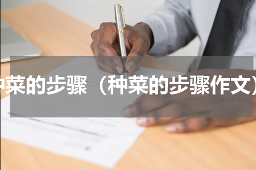 种菜的步骤（种菜的步骤作文）
