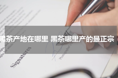 黑茶产地在哪里 黑茶哪里产的最正宗