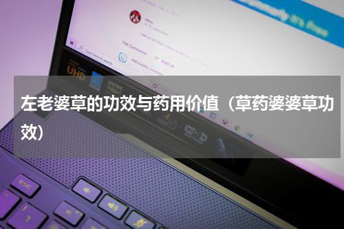 左老婆草的功效与药用价值（草药婆婆草功效）