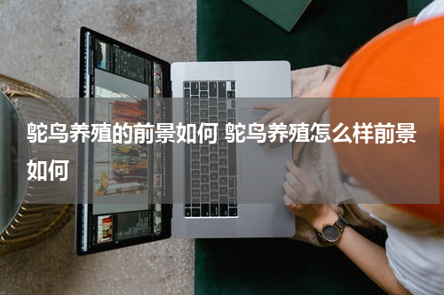 鸵鸟养殖的前景如何 鸵鸟养殖怎么样前景如何