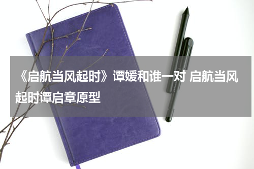 《启航当风起时》谭媛和谁一对 启航当风起时谭启章原型