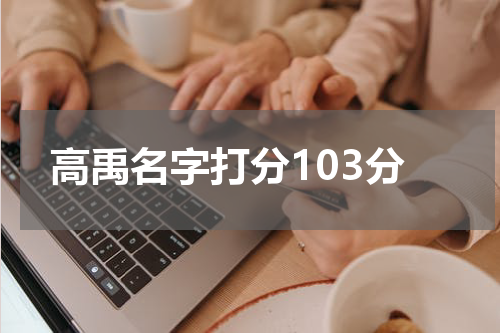 高禹名字打分103分