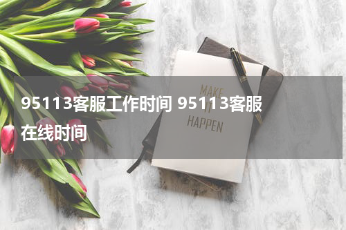 95113客服工作时间 95113客服在线时间