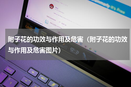 附子花的功效与作用及危害（附子花的功效与作用及危害图片）