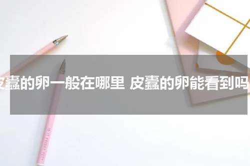 皮蠹的卵一般在哪里 皮蠹的卵能看到吗