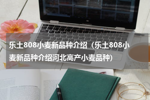 乐土808小麦新品种介绍（乐土808小麦新品种介绍河北高产小麦品种）