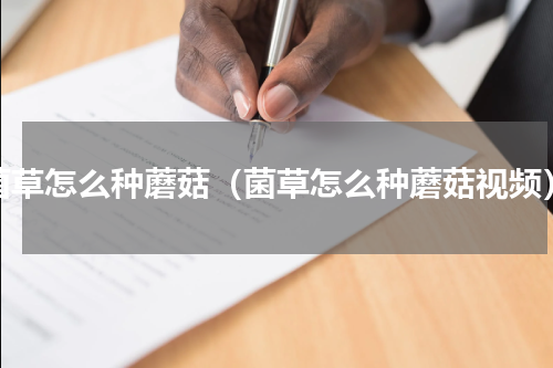 菌草怎么种蘑菇（菌草怎么种蘑菇视频）
