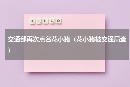 交通部再次点名花小猪（花小猪被交通局查）