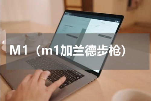 M1（m1加兰德步枪）