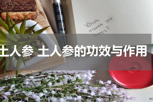 土人参 土人参的功效与作用