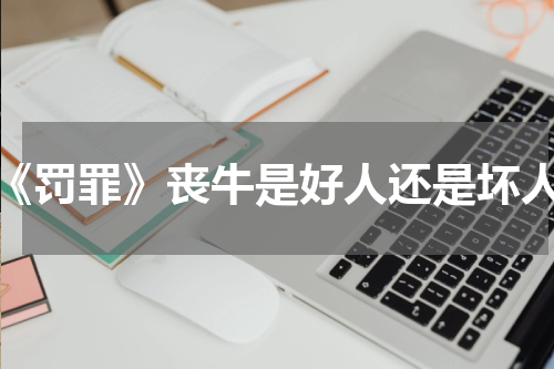 《罚罪》丧牛是好人还是坏人