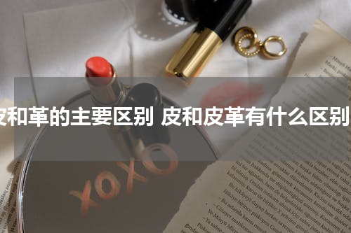 皮和革的主要区别 皮和皮革有什么区别