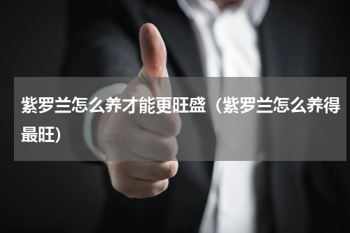 紫罗兰怎么养才能更旺盛（紫罗兰怎么养得最旺）
