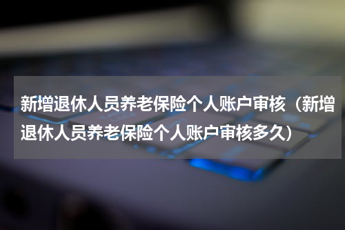 新增退休人员养老保险个人账户审核（新增退休人员养老保险个人账户审核多久）