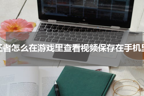 王者怎么在游戏里查看视频保存在手机里