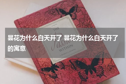 昙花为什么白天开了 昙花为什么白天开了的寓意
