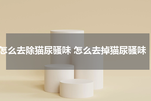 怎么去除猫尿骚味 怎么去掉猫尿骚味