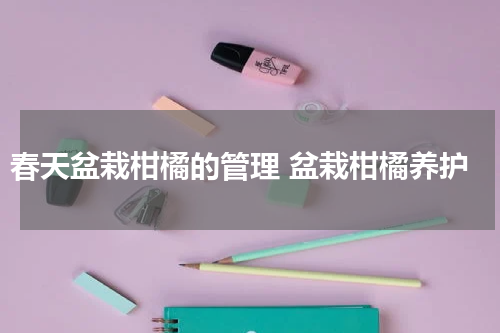 春天盆栽柑橘的管理 盆栽柑橘养护