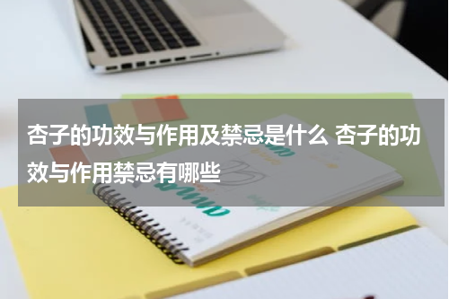 杏子的功效与作用及禁忌是什么 杏子的功效与作用禁忌有哪些