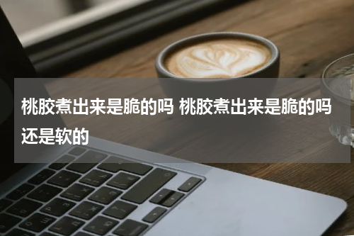 桃胶煮出来是脆的吗 桃胶煮出来是脆的吗还是软的