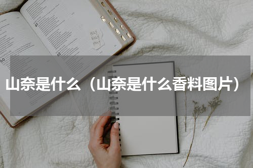 山奈是什么（山奈是什么香料图片）