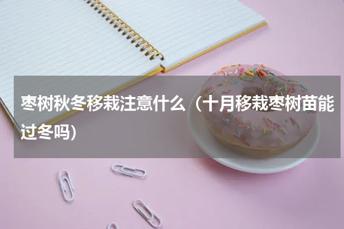 枣树秋冬移栽注意什么（十月移栽枣树苗能过冬吗）