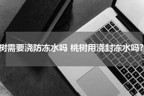 桃树需要浇防冻水吗 桃树用浇封冻水吗?