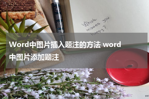 Word中图片插入题注的方法 word中图片添加题注