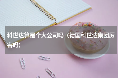 科世达算是个大公司吗（德国科世达集团厉害吗）