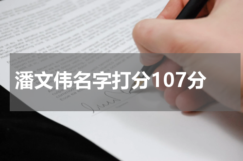潘文伟名字打分107分