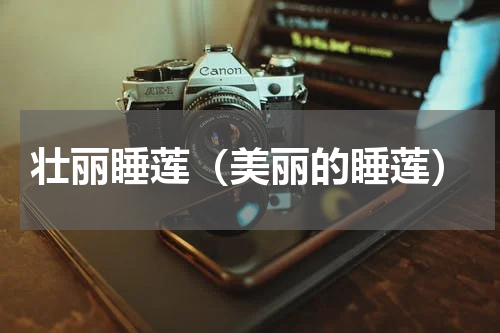 壮丽睡莲（美丽的睡莲）