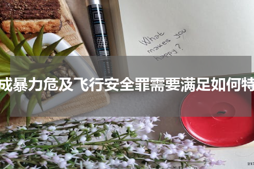 构成暴力危及飞行安全罪需要满足如何特征