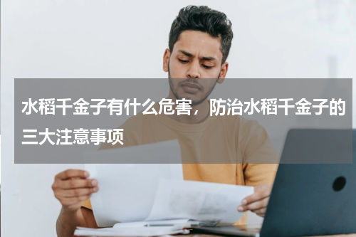 水稻千金子有什么危害，防治水稻千金子的三大注意事项