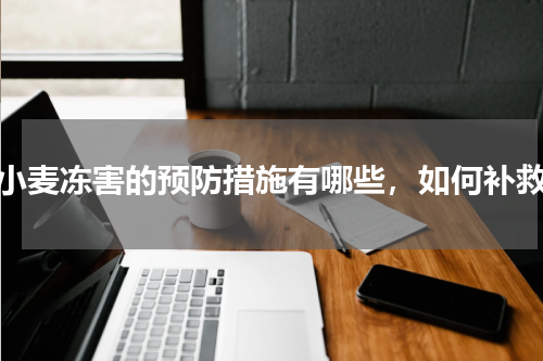 小麦冻害的预防措施有哪些，如何补救
