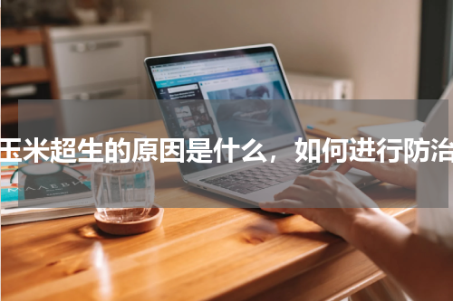 玉米超生的原因是什么，如何进行防治