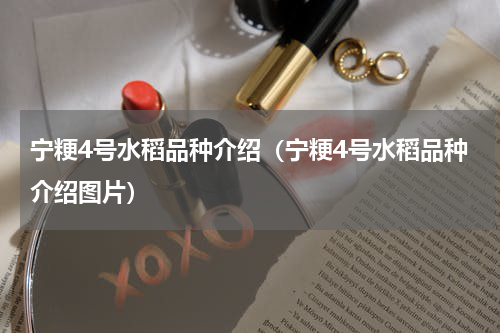 宁粳4号水稻品种介绍（宁粳4号水稻品种介绍图片）