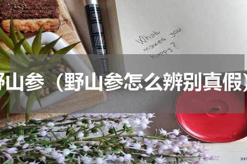 野山参（野山参怎么辨别真假）