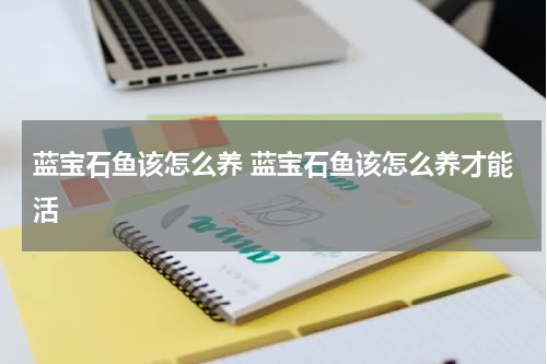 蓝宝石鱼该怎么养 蓝宝石鱼该怎么养才能活