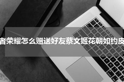 王者荣耀怎么赠送好友蔡文姬花朝如约皮肤