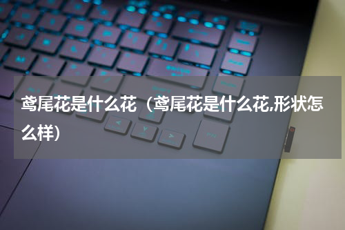 鸢尾花是什么花（鸢尾花是什么花,形状怎么样）