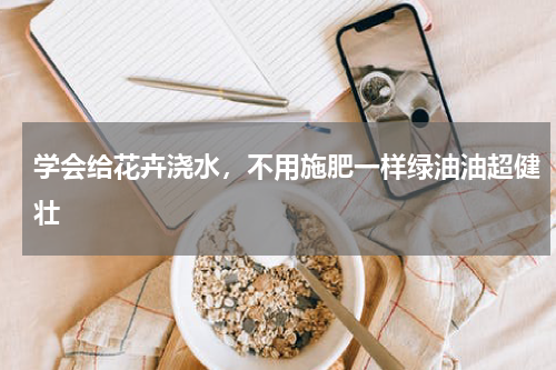 学会给花卉浇水，不用施肥一样绿油油超健壮